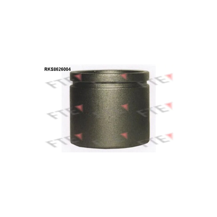 FTE 9313231 Piston, Brake Caliper
