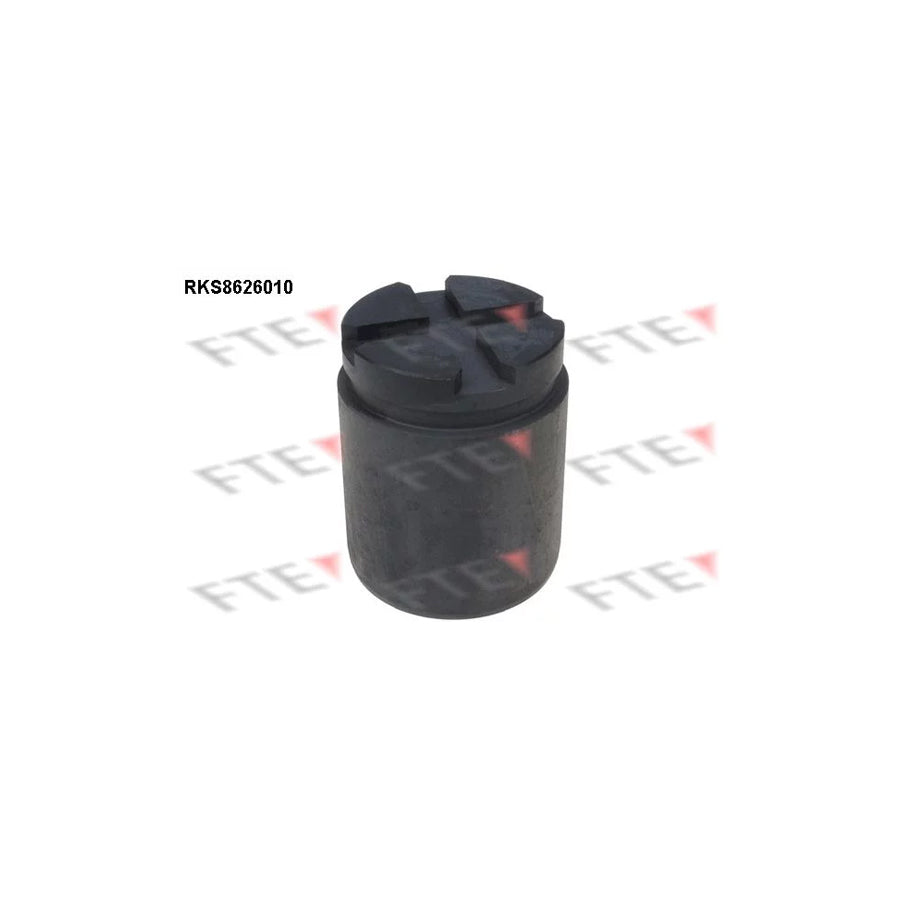 FTE 9313234 Piston, Brake Caliper