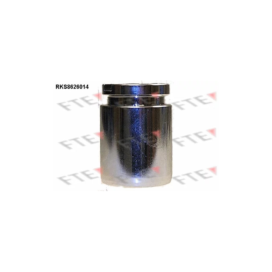 FTE 9313236 Piston, Brake Caliper