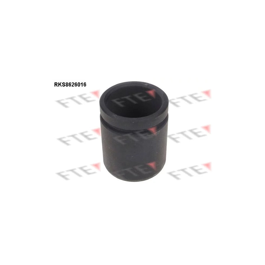 FTE 9313237 Piston, Brake Caliper