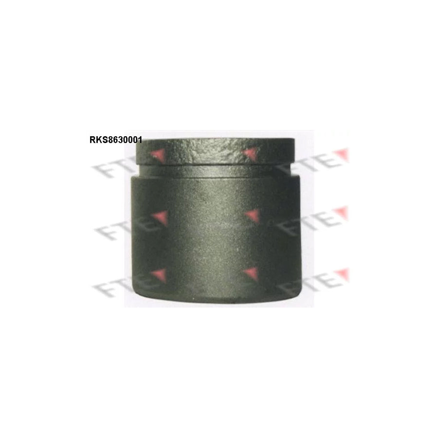 FTE 9313240 Piston, Brake Caliper