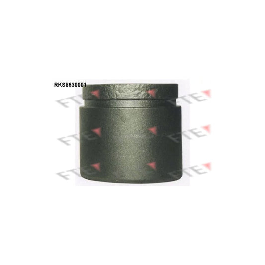 FTE 9313240 Piston, Brake Caliper