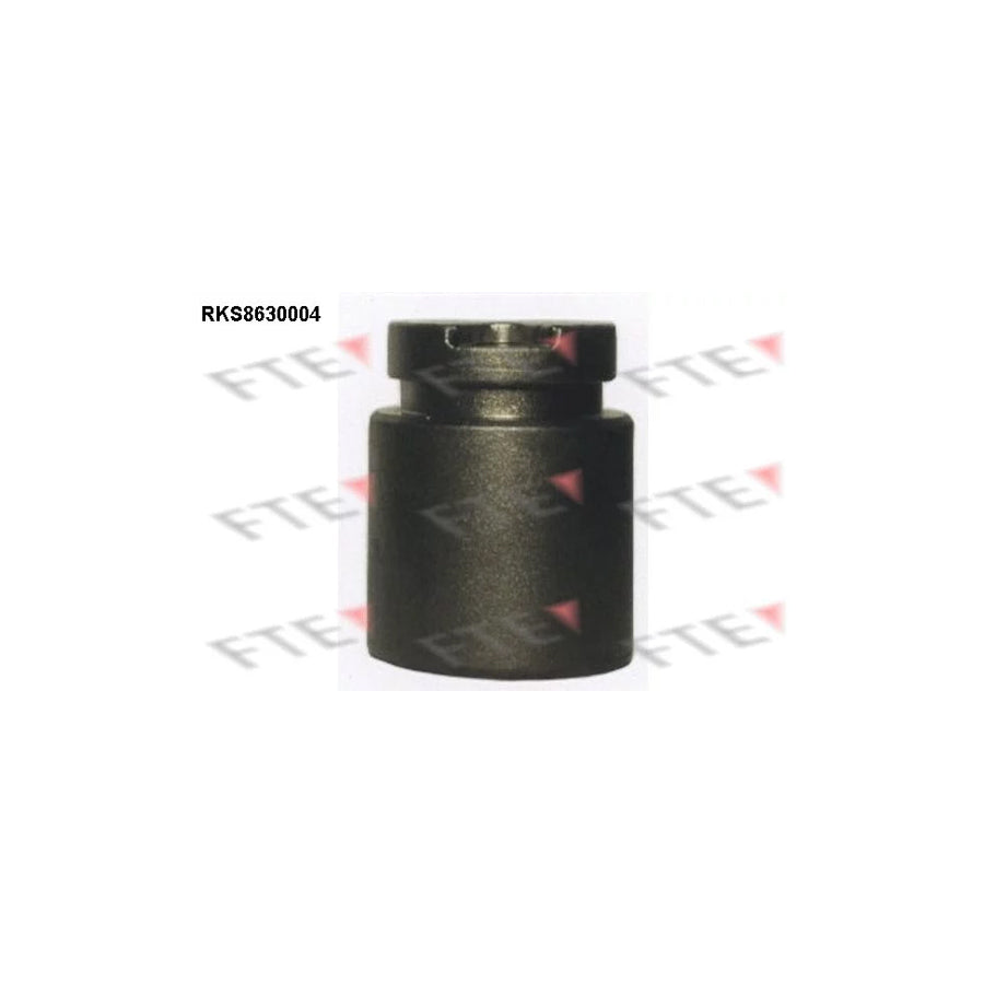 FTE 9313242 Piston, Brake Caliper