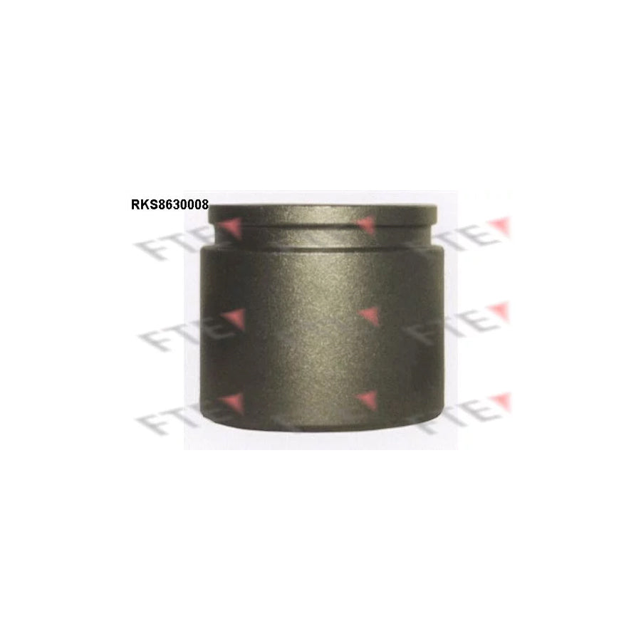 FTE 9313246 Piston, Brake Caliper