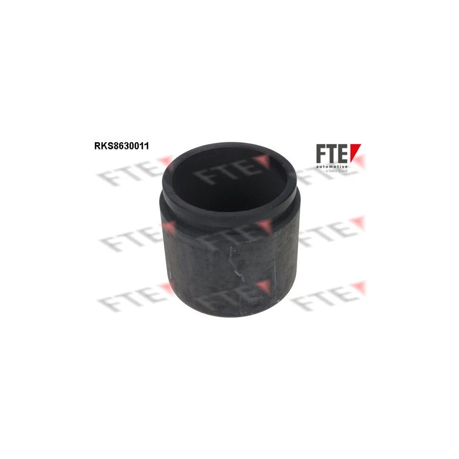 FTE 9313247 Piston, Brake Caliper