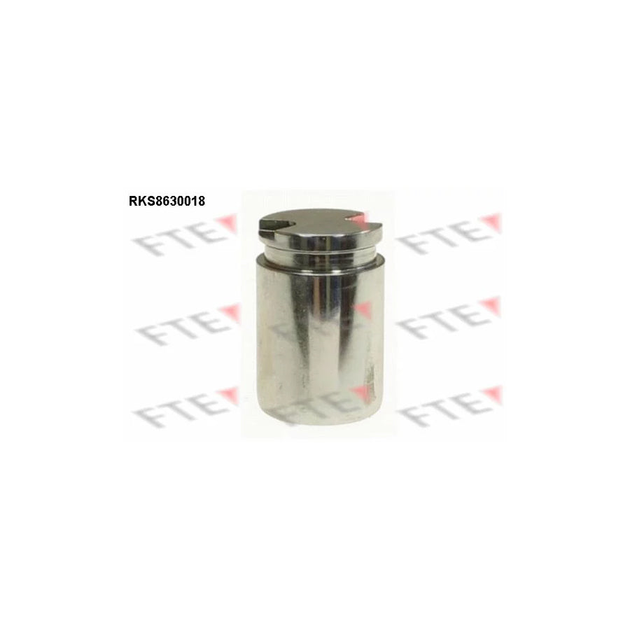 FTE 9313253 Piston, Brake Caliper