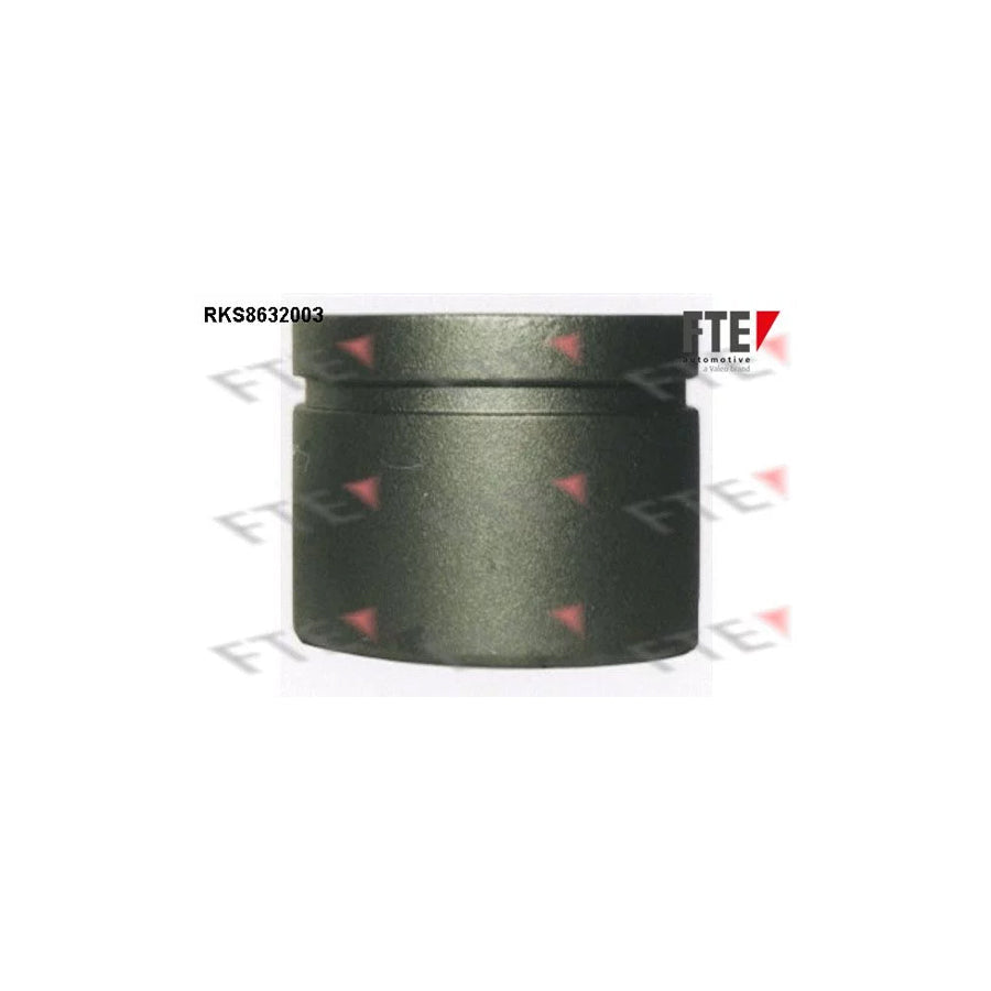 FTE 9313256 Piston, Brake Caliper