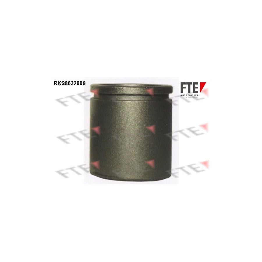 FTE 9313260 Piston, Brake Caliper