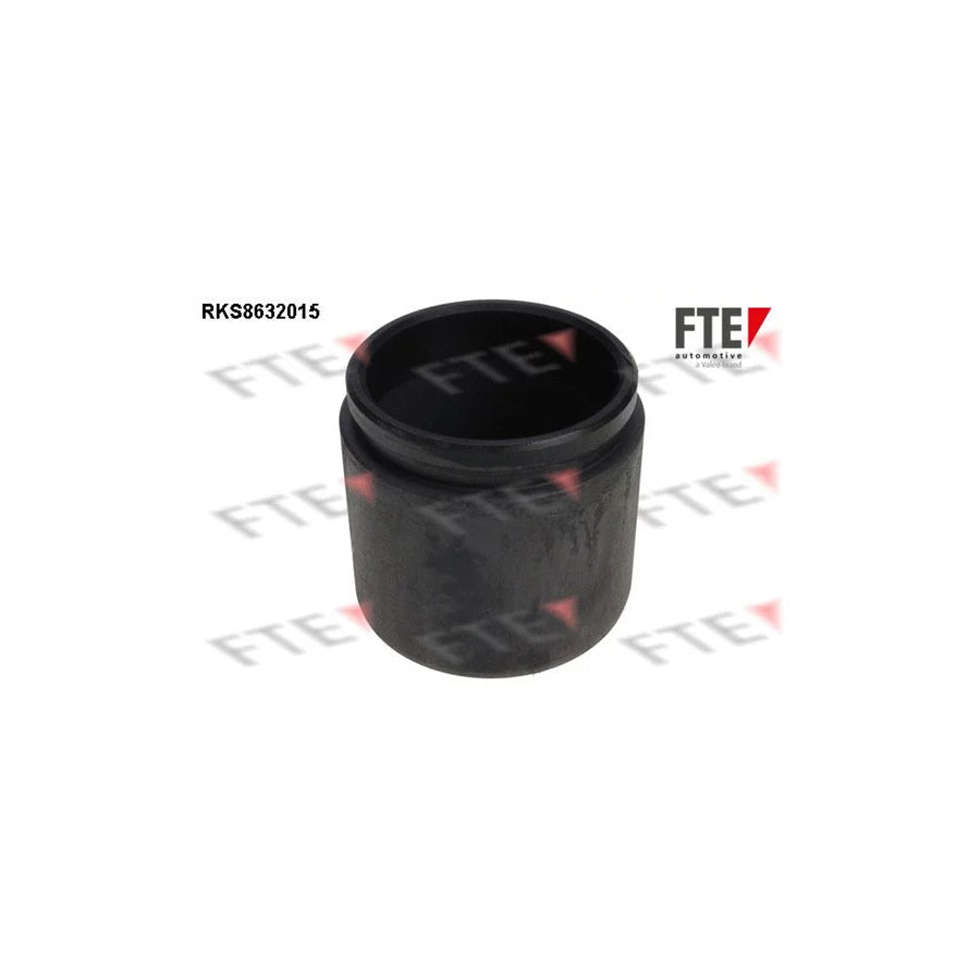 FTE 9313264 Piston, Brake Caliper for Mazda 6