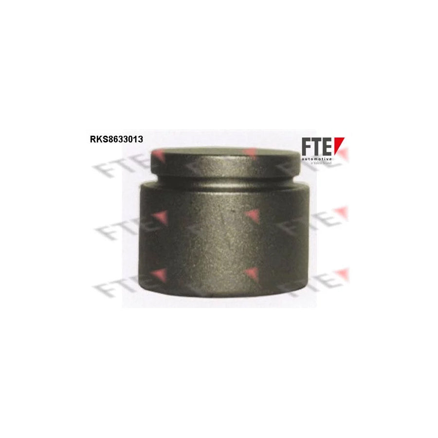 FTE 9313270 Piston, Brake Caliper