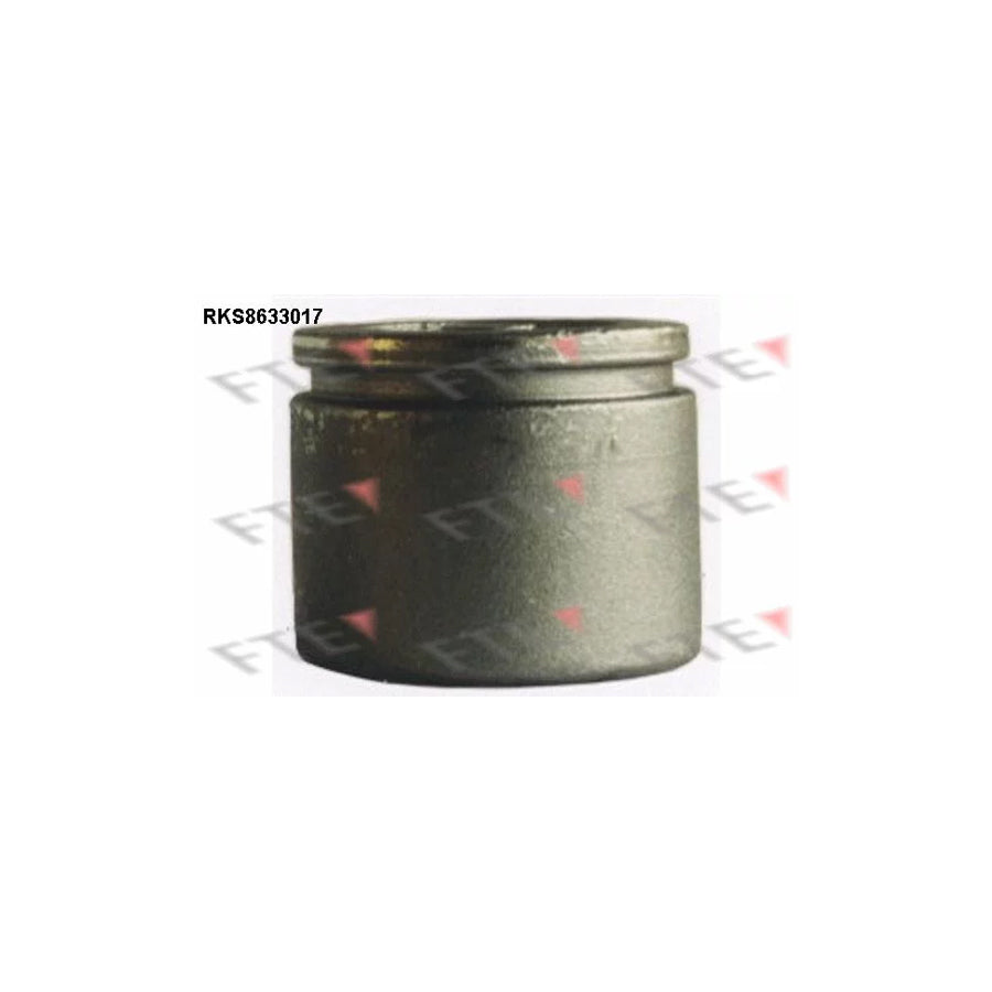 FTE 9313272 Piston, Brake Caliper