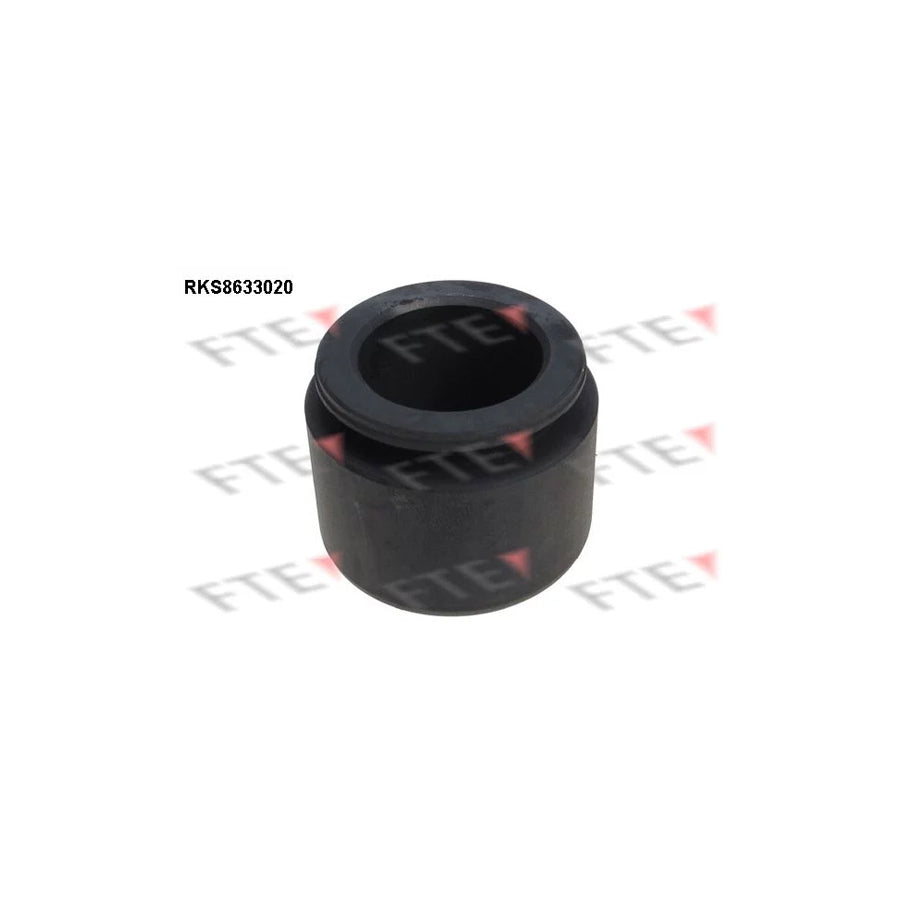 FTE 9313275 Piston, Brake Caliper