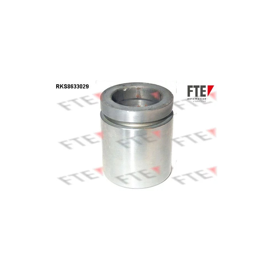 FTE 9313280 Piston, Brake Caliper
