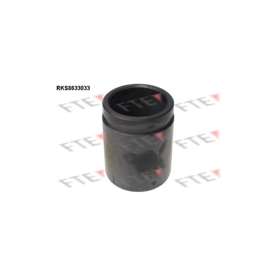 FTE 9313282 Piston, Brake Caliper
