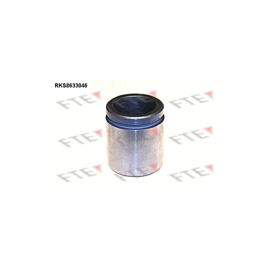 FTE 9313289 Piston, Brake Caliper