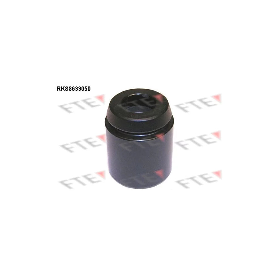 FTE 9313292 Piston, Brake Caliper