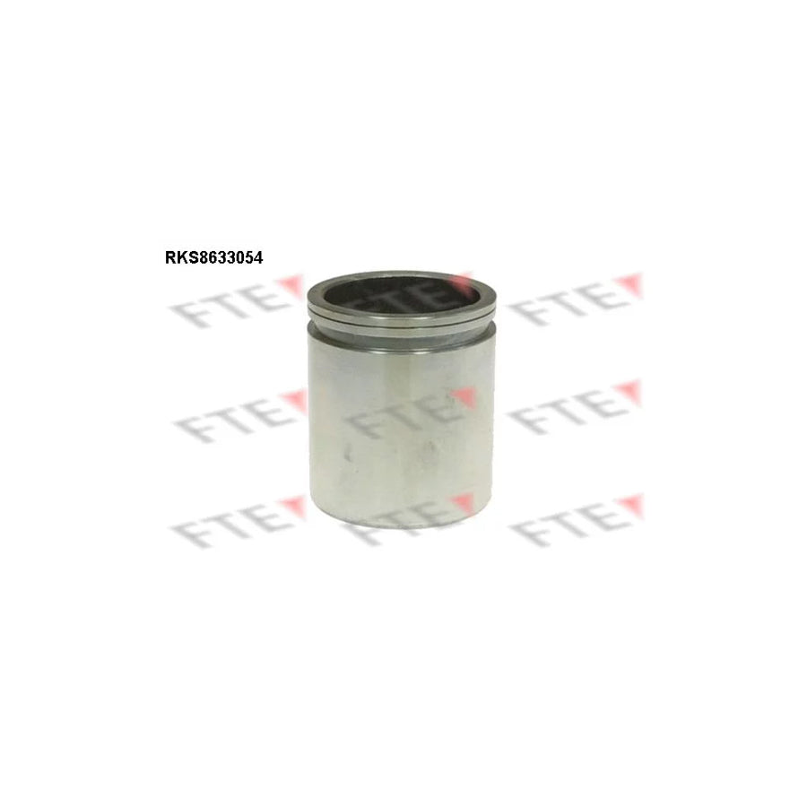 FTE 9313294 Piston, Brake Caliper