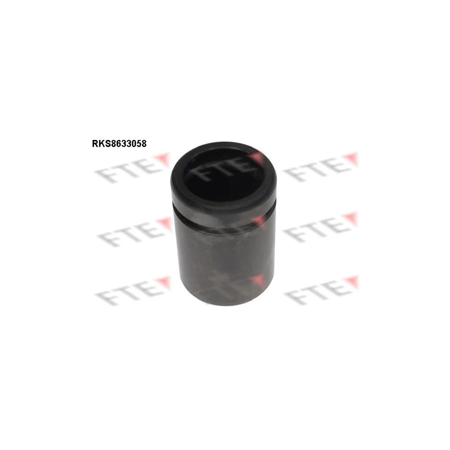 FTE 9313297 Piston, Brake Caliper
