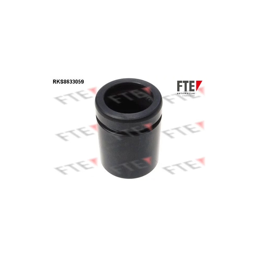 FTE 9313298 Piston, Brake Caliper