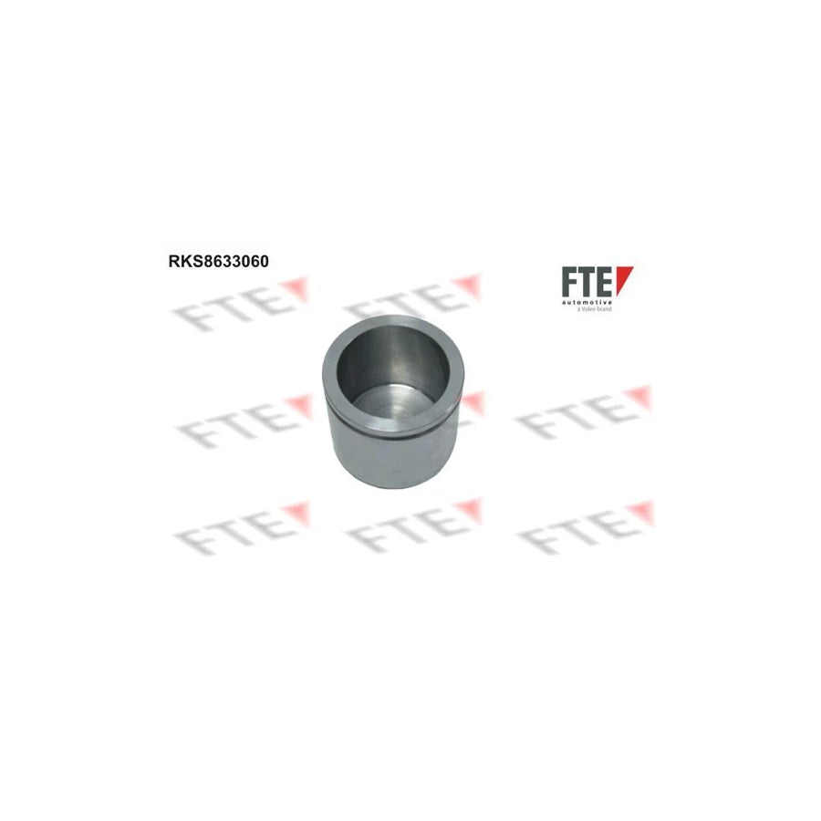 FTE 9313299 Piston, Brake Caliper