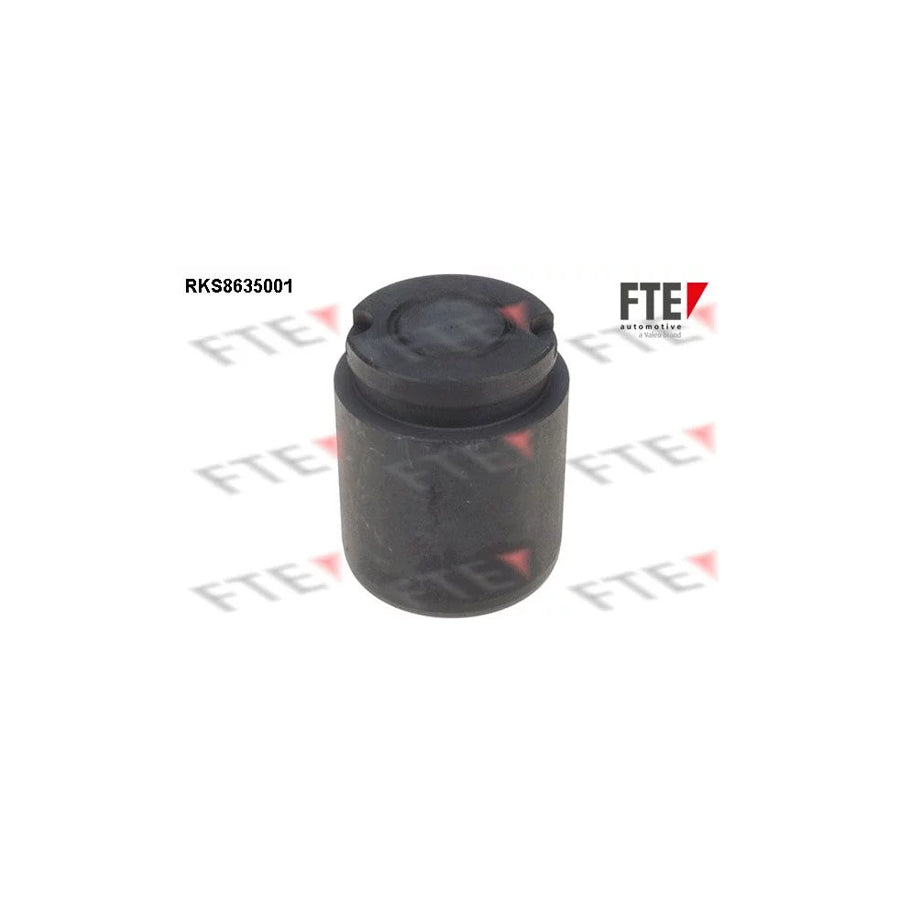 FTE 9313309 Piston, Brake Caliper