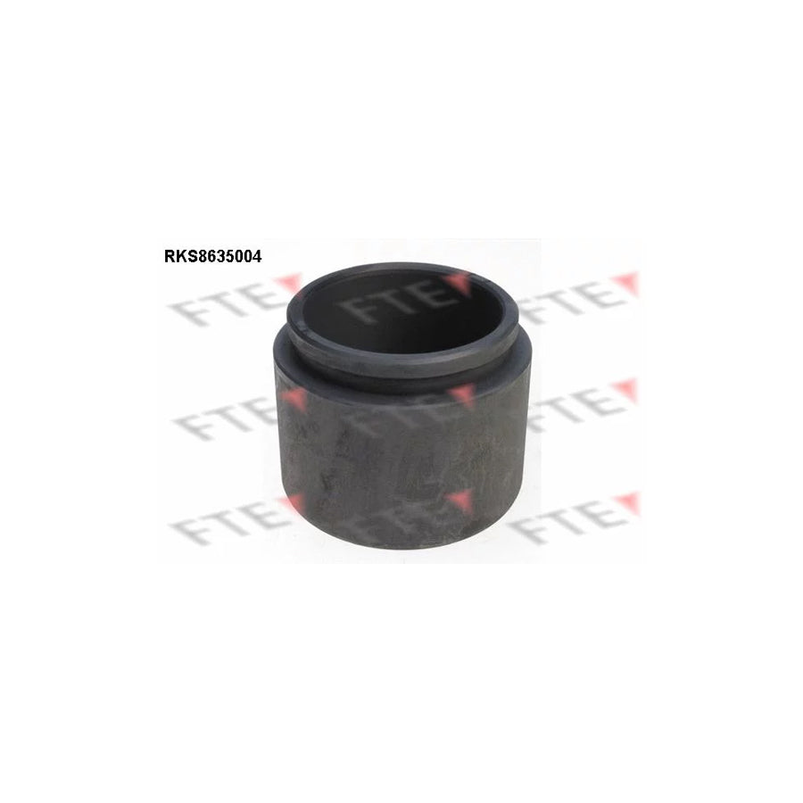 FTE 9313312 Piston, Brake Caliper