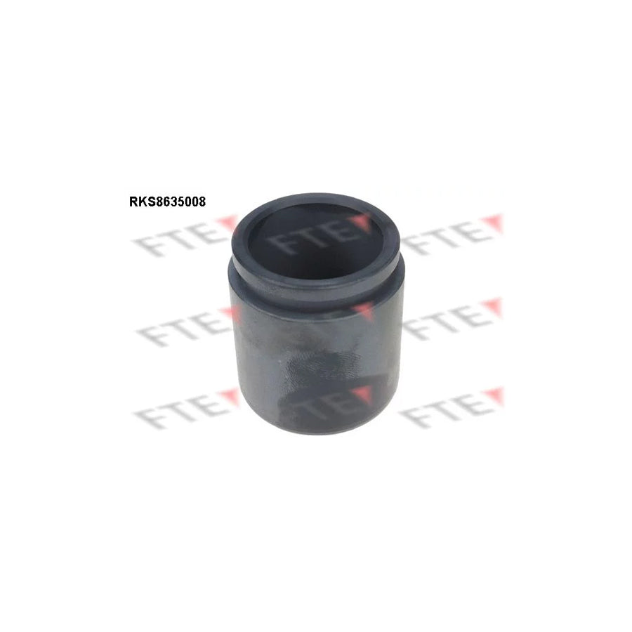 FTE 9313316 Piston, Brake Caliper for KIA Sorento I (Jc)