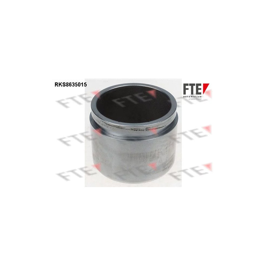 FTE 9313322 Piston, Brake Caliper