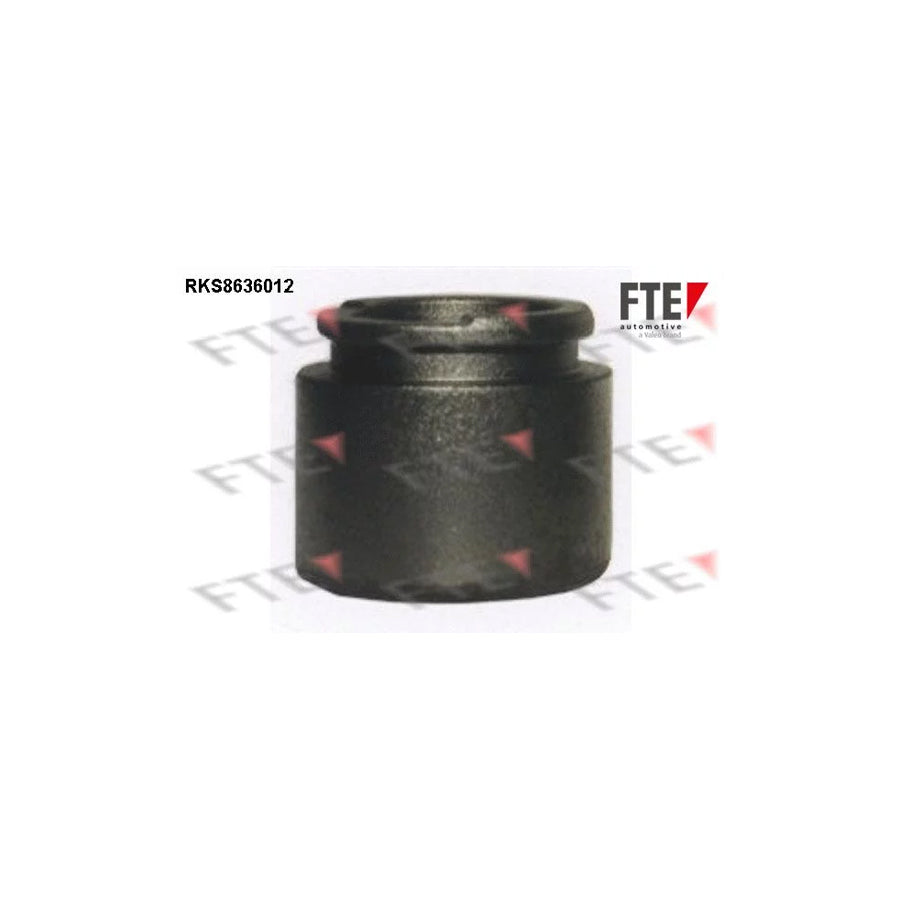 FTE 9313329 Piston, Brake Caliper