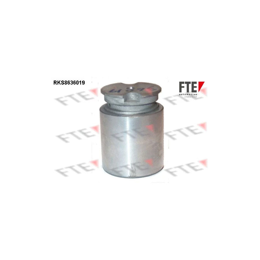 FTE 9313334 Piston, Brake Caliper