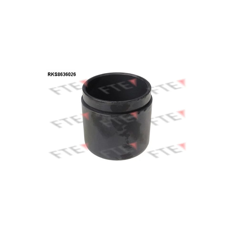 FTE 9313338 Piston, Brake Caliper for Opel Sintra (Apv)