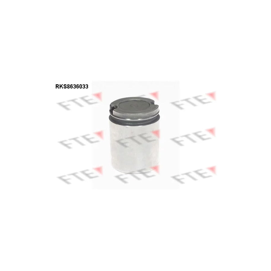 FTE 9313342 Piston, Brake Caliper