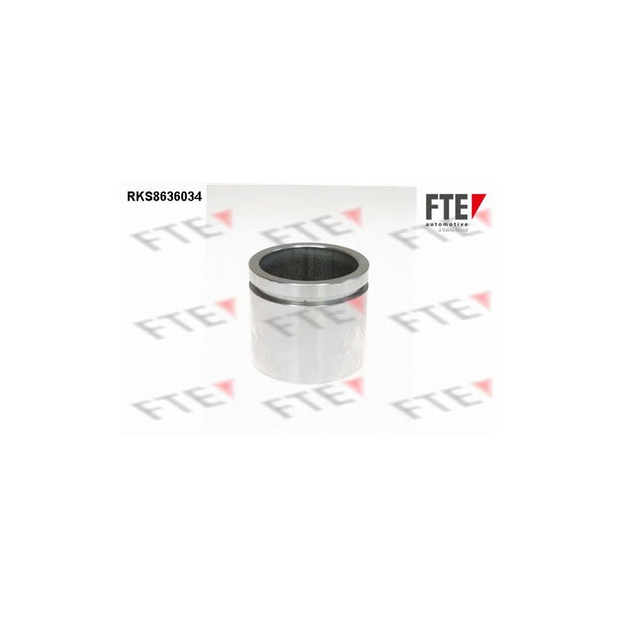 FTE 9313343 Piston, Brake Caliper