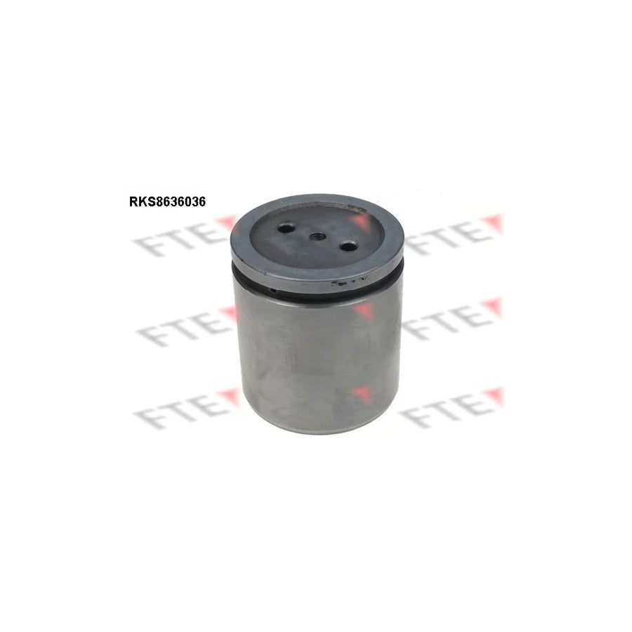 FTE 9313344 Piston, Brake Caliper