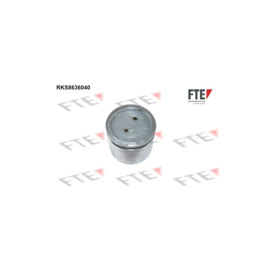 FTE 9313346 Piston, Brake Caliper