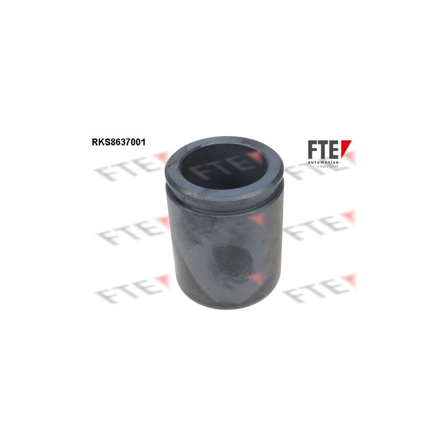 FTE 9313347 Piston, Brake Caliper