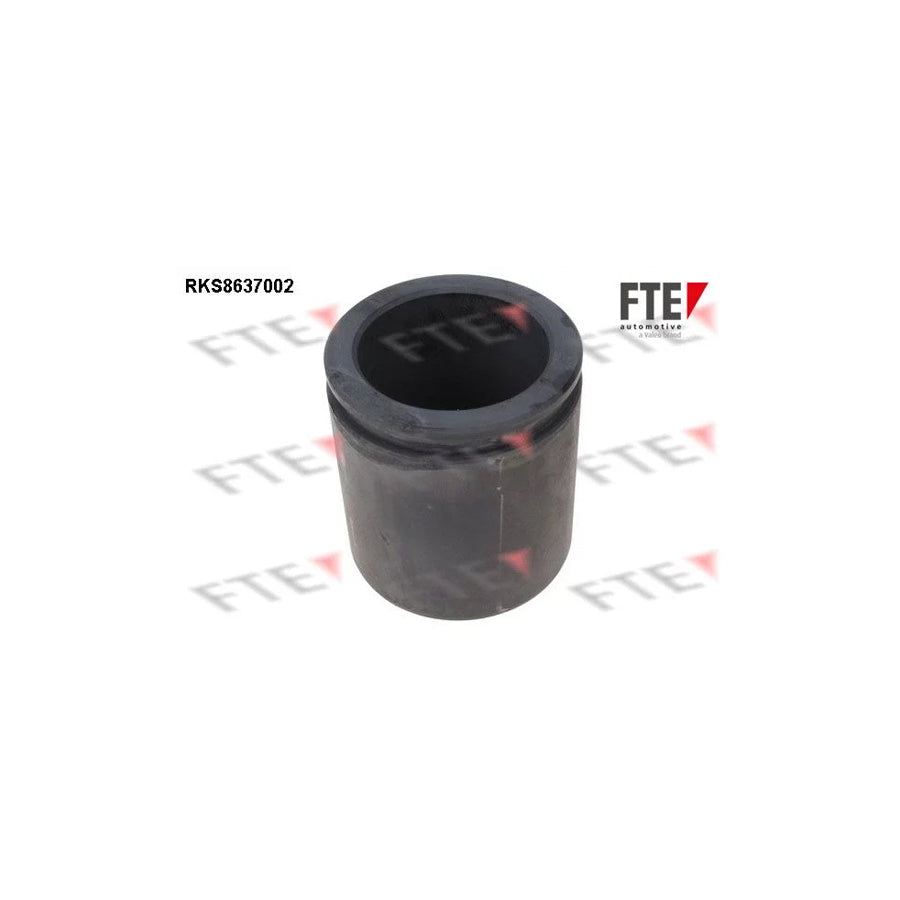 FTE 9313348 Piston, Brake Caliper