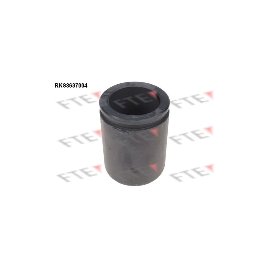 FTE 9313349 Piston, Brake Caliper