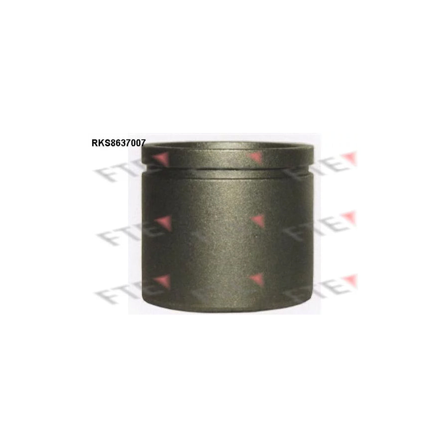 FTE 9313350 Piston, Brake Caliper