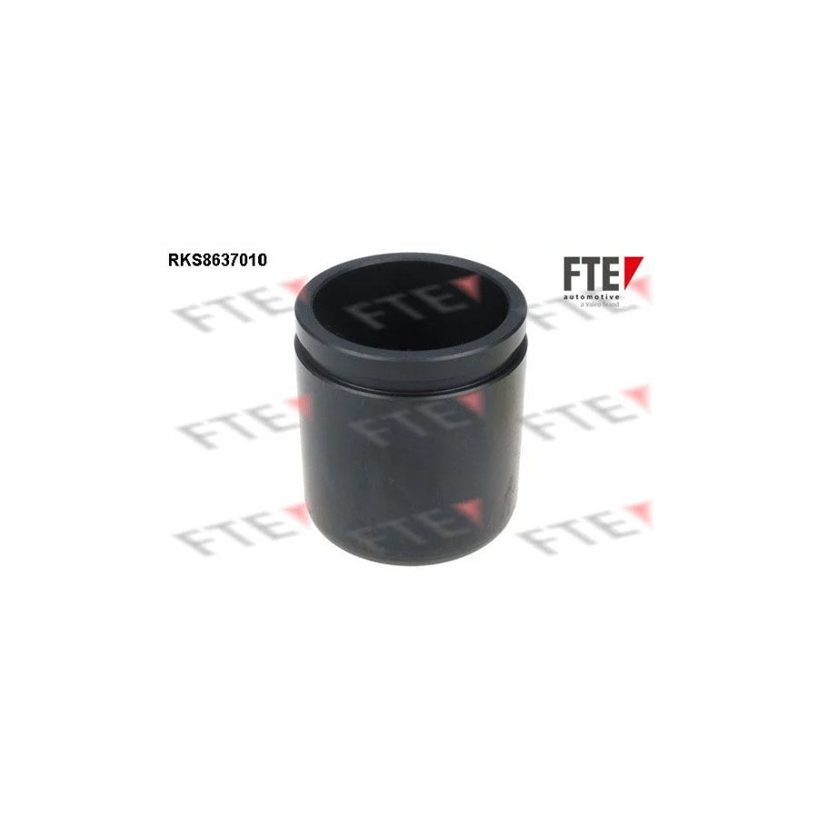 FTE 9313352 Piston, Brake Caliper for Peugeot 206