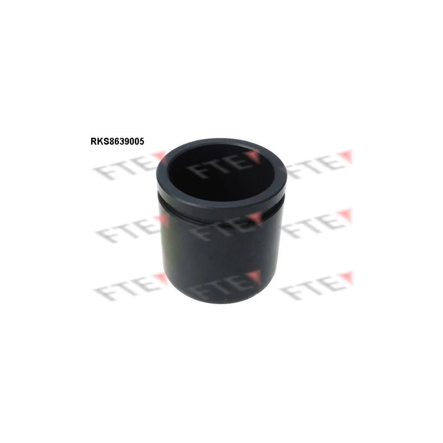 FTE 9313357 Piston, Brake Caliper