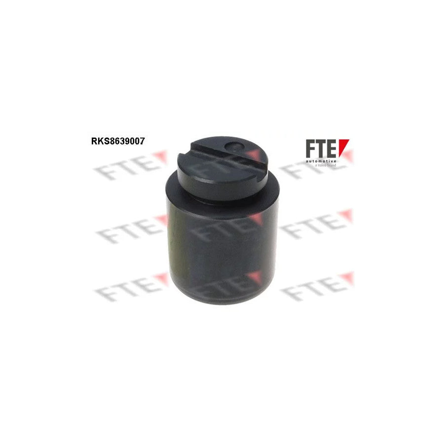 FTE 9313358 Piston, Brake Caliper
