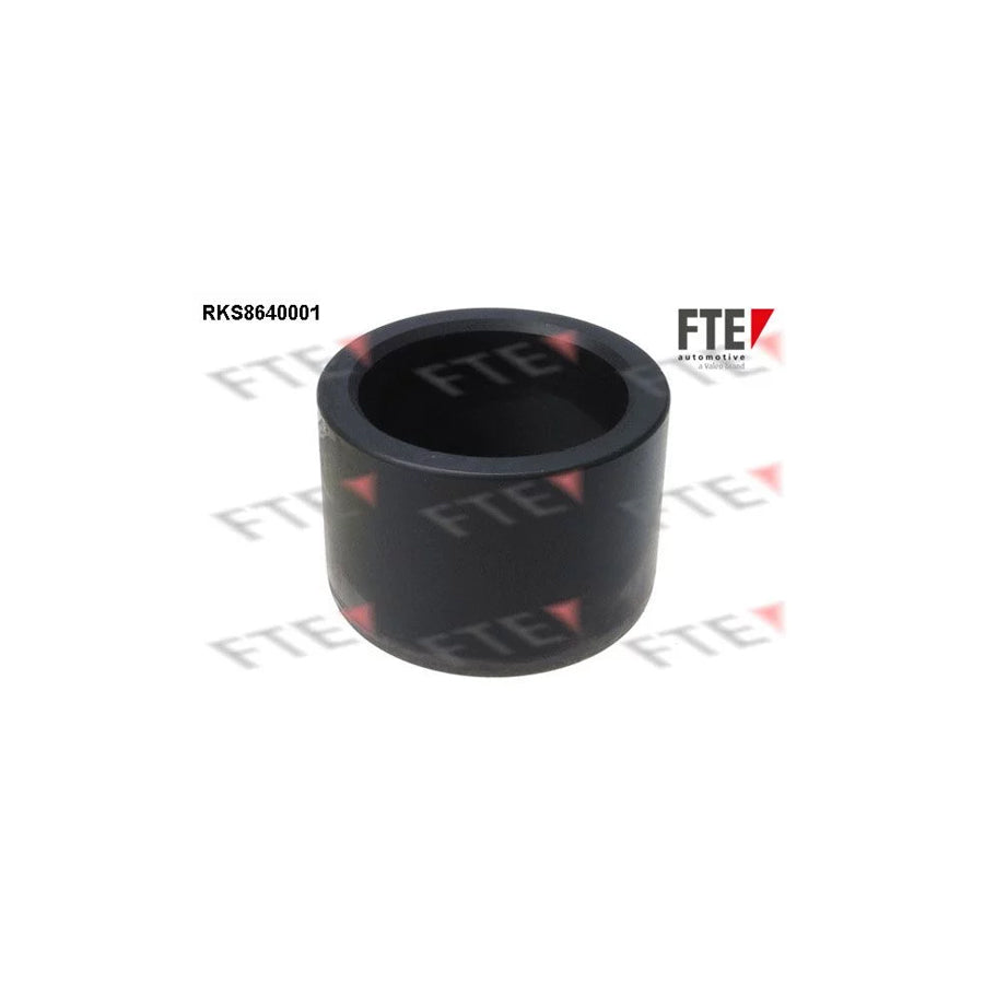 FTE 9313363 Piston, Brake Caliper