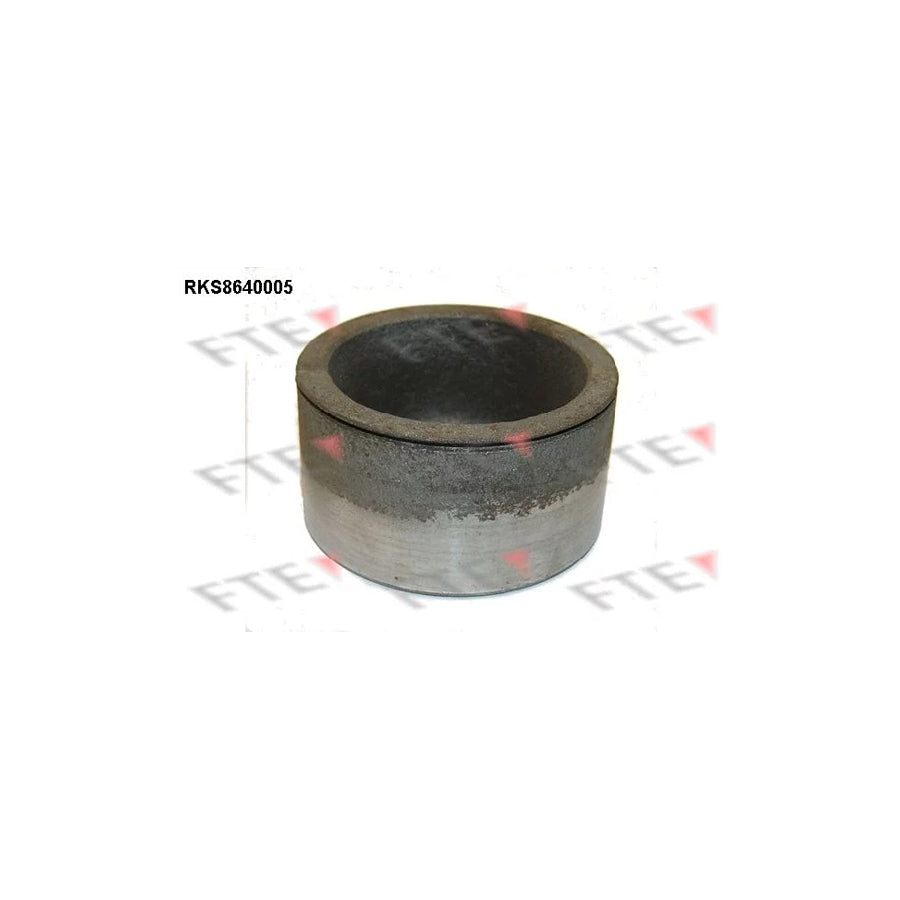 FTE 9313365 Piston, Brake Caliper