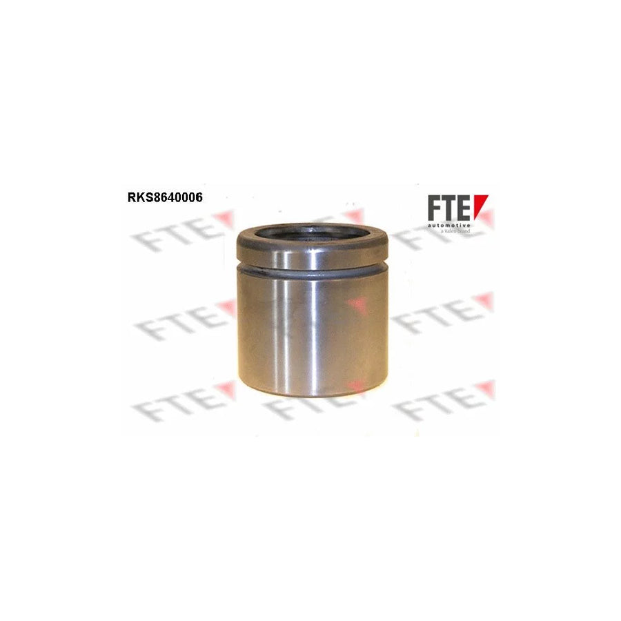 FTE 9313366 Piston, Brake Caliper