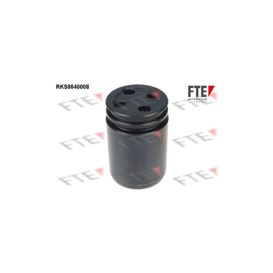 FTE 9313368 Piston, Brake Caliper