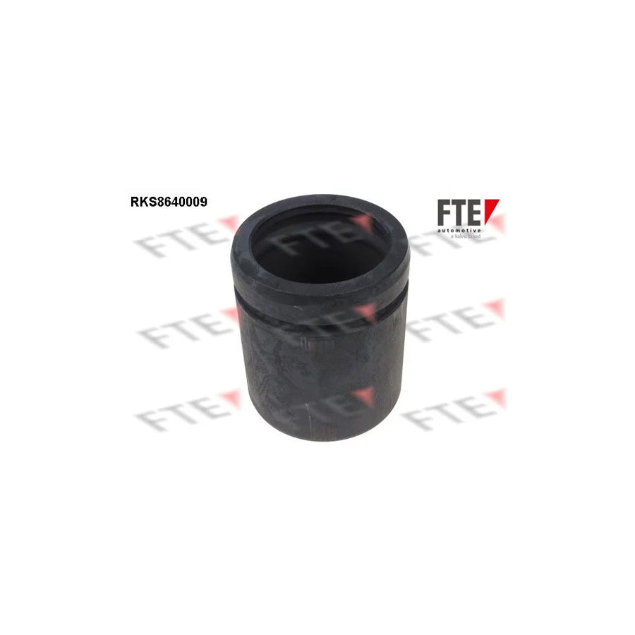 FTE 9313369 Piston, Brake Caliper