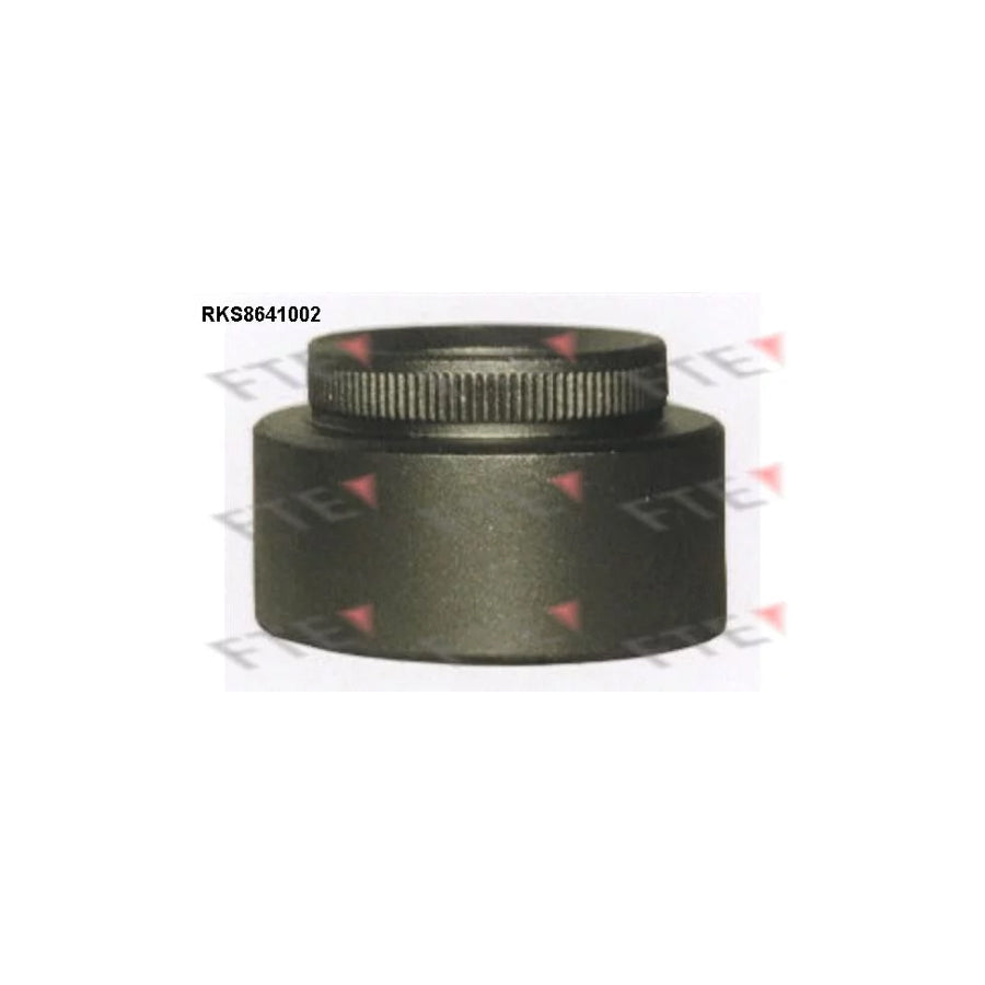 FTE 9313373 Piston, Brake Caliper