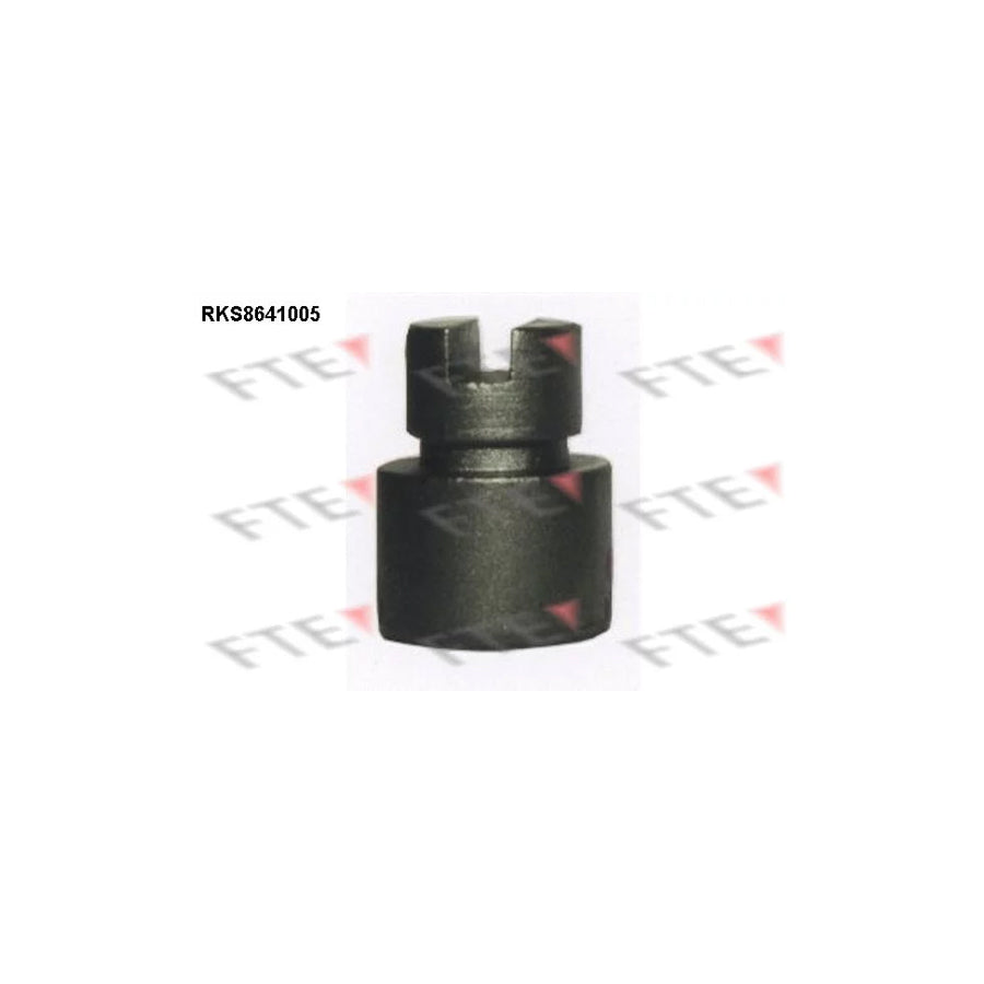 FTE 9313375 Piston, Brake Caliper