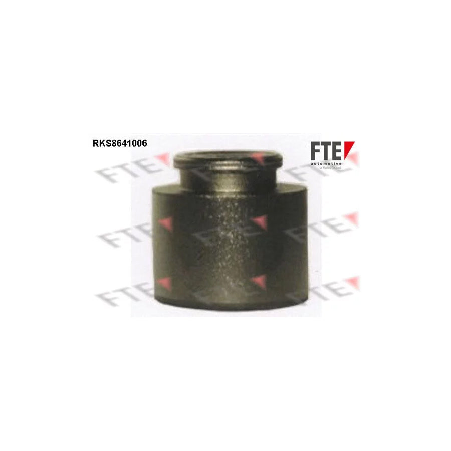 FTE 9313376 Piston, Brake Caliper